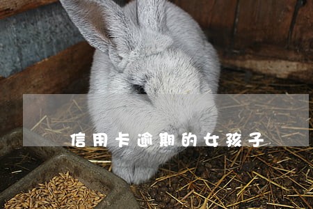 信用卡逾期的女孩子