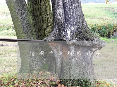 信用卡逾期的孩子 信用卡逾期的孩子