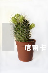 信用卡逾期的客户哪里可以贷款