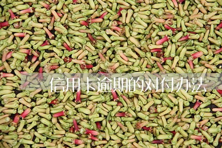 信用卡逾期的对付办法
