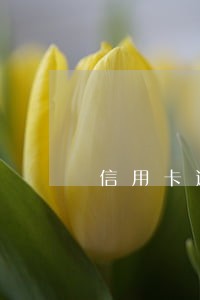 信用卡逾期的小故事 信用卡逾期的小故事