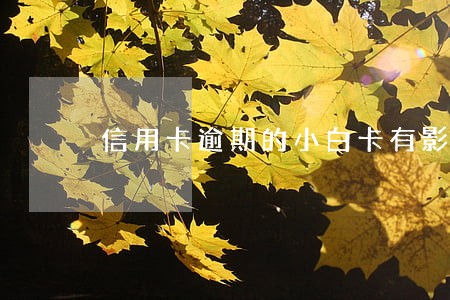 信用卡逾期的小白卡有影响 信用卡逾期的小白卡有影响