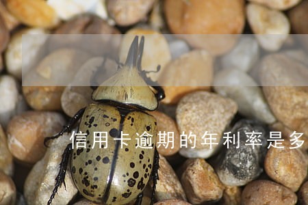 信用卡逾期的年利率是多少 信用卡逾期的年利率是多少