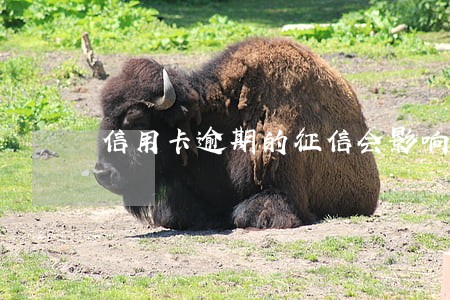 信用卡逾期的征信会影响孩子吗