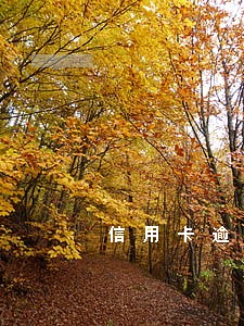 信用卡逾期的征信多久消除