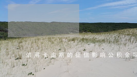 信用卡逾期的征信影响公积金吗 信用卡逾期的征信影响公积金吗