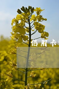 信用卡逾期的很多吗 信用卡逾期的很多吗