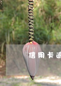 信用卡逾期的心声 信用卡逾期的心声