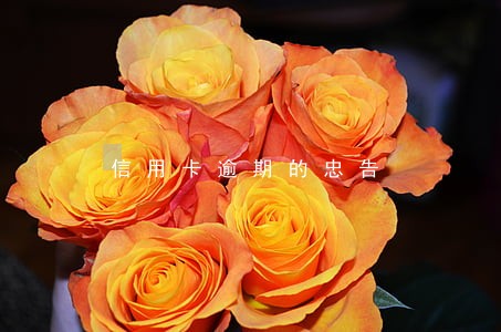 信用卡逾期的忠告