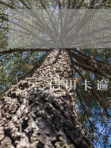 信用卡逾期的怎么还