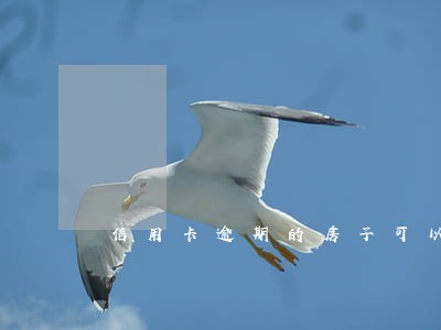 信用卡逾期的房子可以卖吗 信用卡逾期的房子可以卖吗