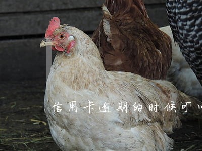 信用卡逾期的时候可以坐飞机吗 信用卡逾期的时候可以坐飞机吗
