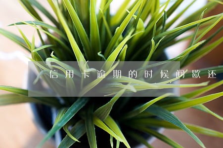 信用卡逾期的时候间歇还款
