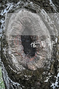 信用卡逾期的时间是多少 信用卡逾期的时间是多少