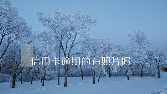 信用卡逾期的有照片吗