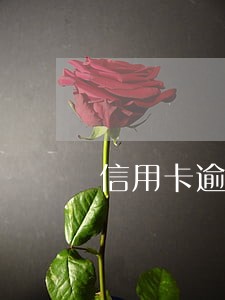信用卡逾期的朋友们注意了 信用卡逾期的朋友们注意了