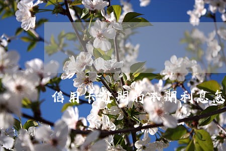信用卡逾期的本期利息怎么算