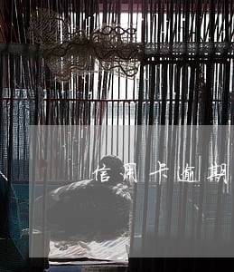 信用卡逾期的本金怎么算利息 信用卡逾期的本金怎么算利息