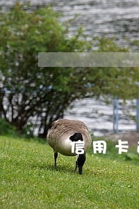 信用卡逾期的来 信用卡逾期的来