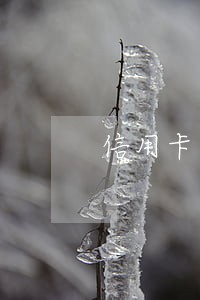 信用卡逾期的案由是什么 信用卡逾期的案由是什么