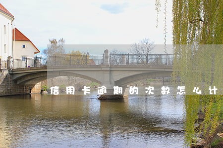 信用卡逾期的次数怎么计算 信用卡逾期的次数怎么计算