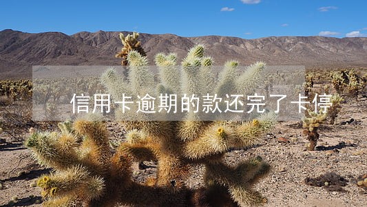 信用卡逾期的款还完了卡停 信用卡逾期的款还完了卡停