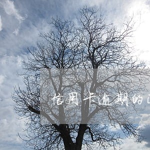 信用卡逾期的正规催款流程