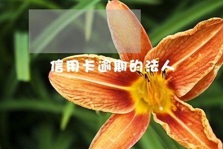 信用卡逾期的法人 信用卡逾期的法人