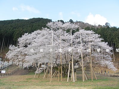 信用卡逾期的法律新规