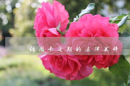 信用卡逾期的法律案件 信用卡逾期的法律案件