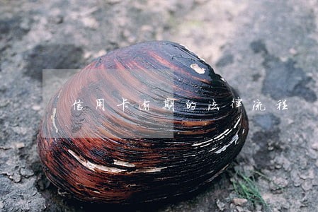 信用卡逾期的法律流程 信用卡逾期的法律流程