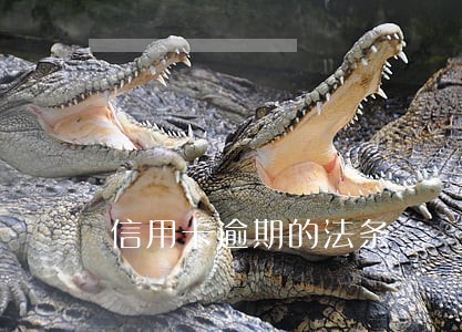 信用卡逾期的法条 信用卡逾期的法条