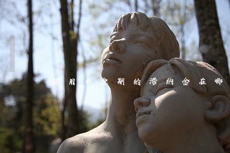 信用卡逾期的滞纳金在哪里看 信用卡逾期的滞纳金在哪里看