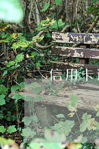 信用卡逾期的滞纳金怎么拿回来 信用卡逾期的滞纳金怎么拿回来