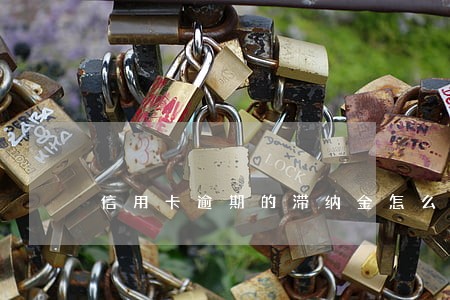 信用卡逾期的滞纳金怎么收 信用卡逾期的滞纳金怎么收