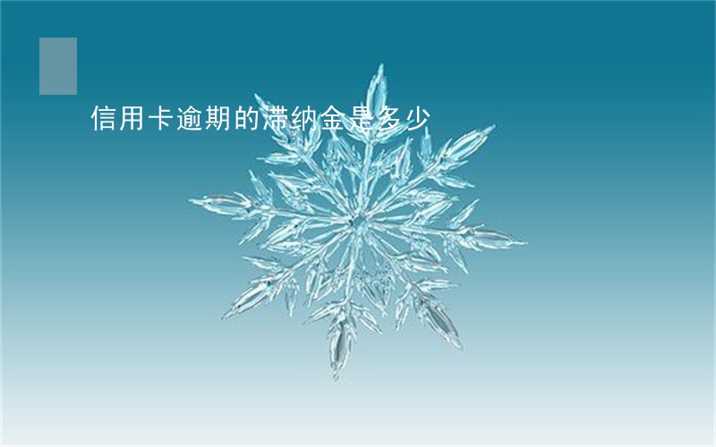 信用卡逾期的滞纳金是多少