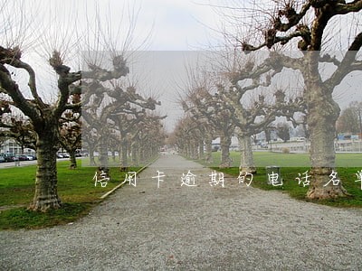 信用卡逾期的电话名单是 信用卡逾期的电话名单是