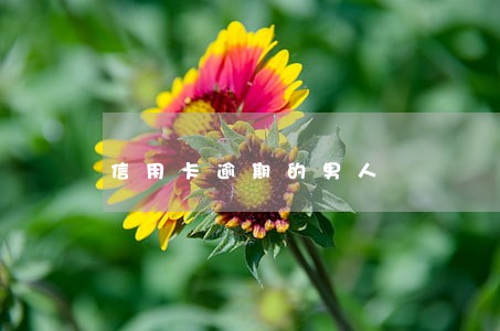 信用卡逾期的男人 信用卡逾期的男人