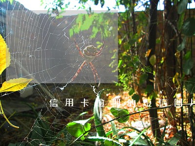 信用卡逾期的短信图片模板 信用卡逾期的短信图片模板