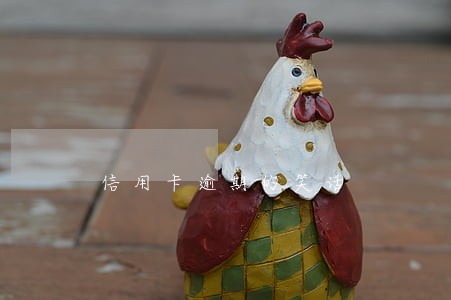 信用卡逾期的笑话 信用卡逾期的笑话