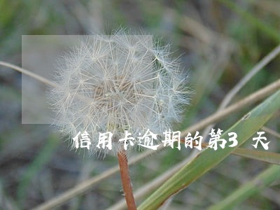 信用卡逾期的第3天 信用卡逾期的第3天