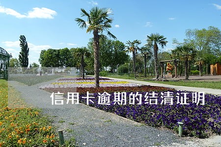 信用卡逾期的结清证明
