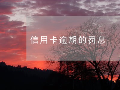 信用卡逾期的罚息 信用卡逾期的罚息
