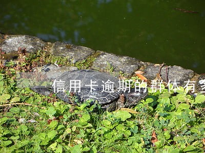 信用卡逾期的群体有多大