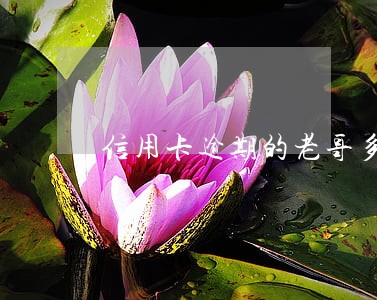 信用卡逾期的老哥多吗 信用卡逾期的老哥多吗