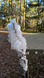 信用卡逾期的自救方法 信用卡逾期的自救方法