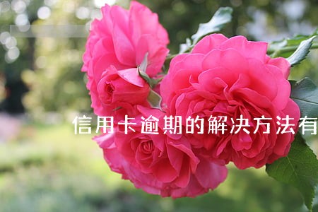 信用卡逾期的解决方法有哪些