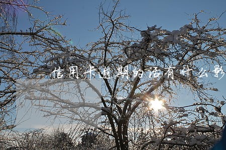 信用卡逾期的话有什么影响 信用卡逾期的话有什么影响