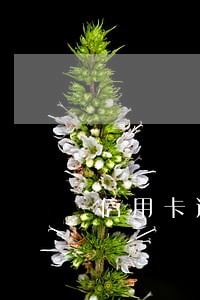 信用卡逾期的账单是怎么样 信用卡逾期的账单是怎么样