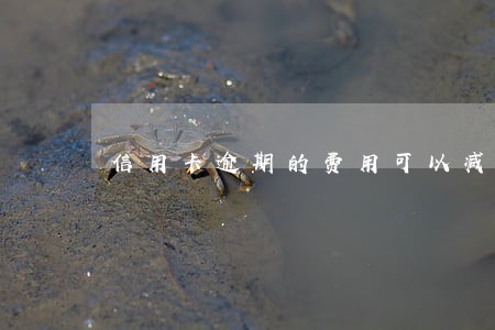 信用卡逾期的费用可以减免嘛 信用卡逾期的费用可以减免嘛